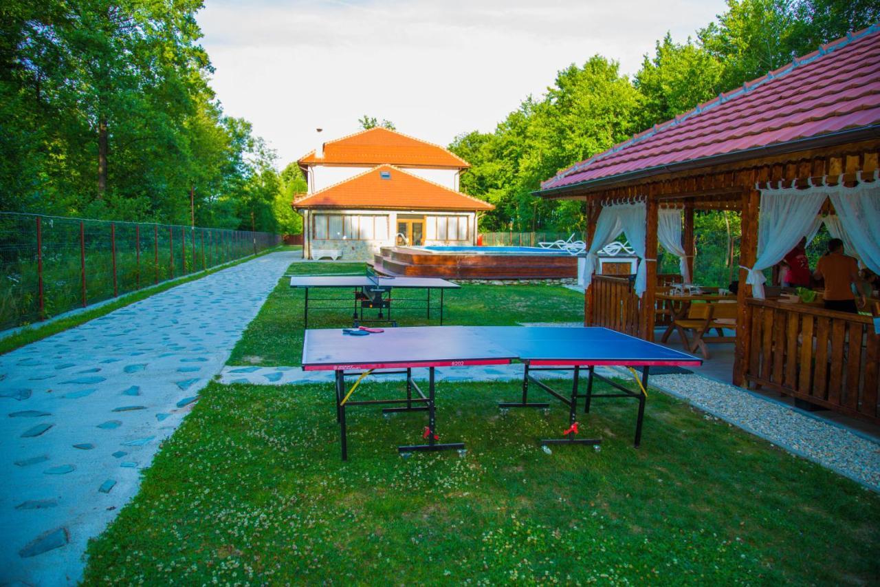 Pensiunea 2 A-mici Runcu  Exterior foto