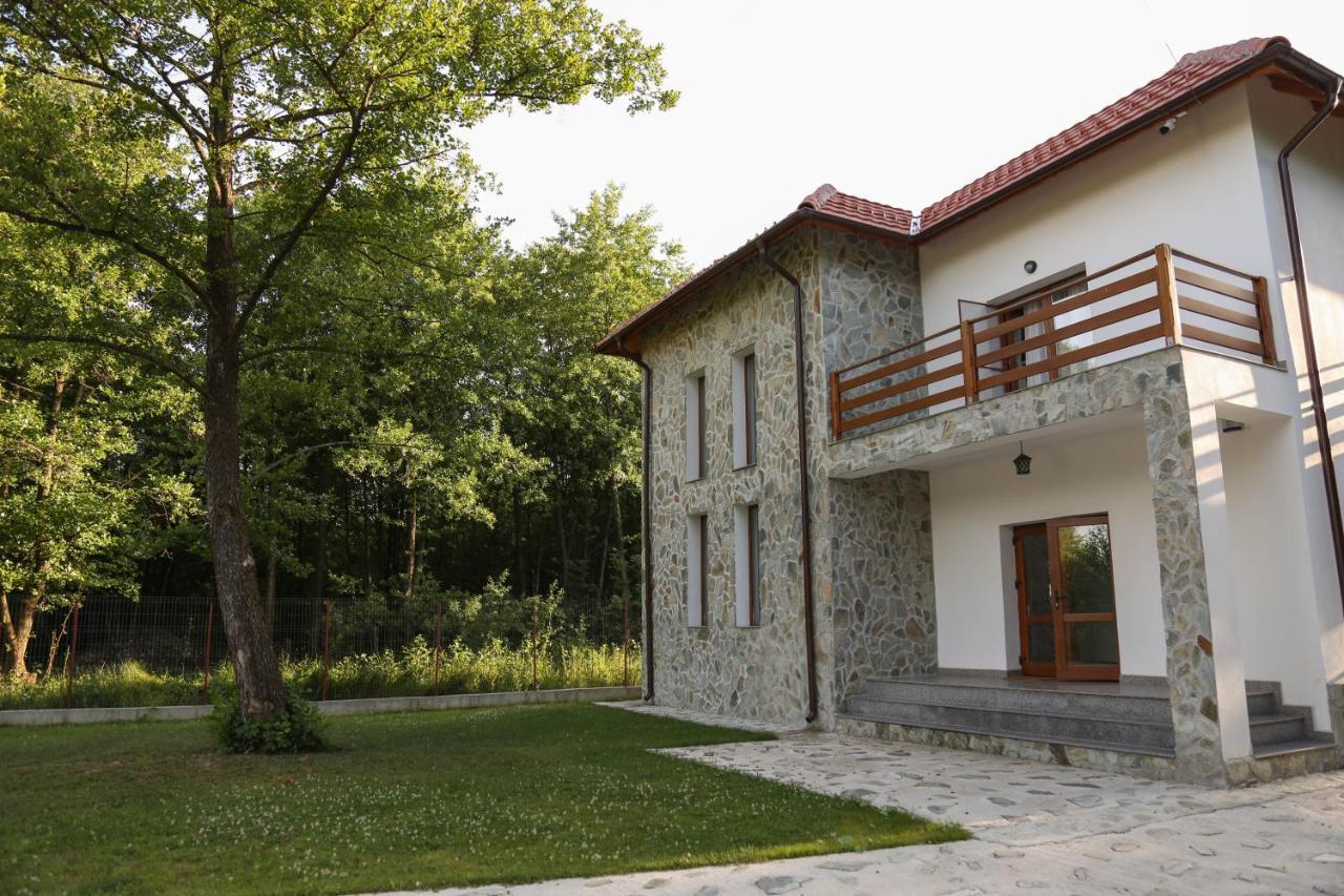 Pensiunea 2 A-mici Runcu  Exterior foto